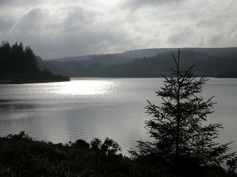 Fernworthy Resovoir.jpg